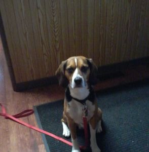 Meet your Posher, Sally